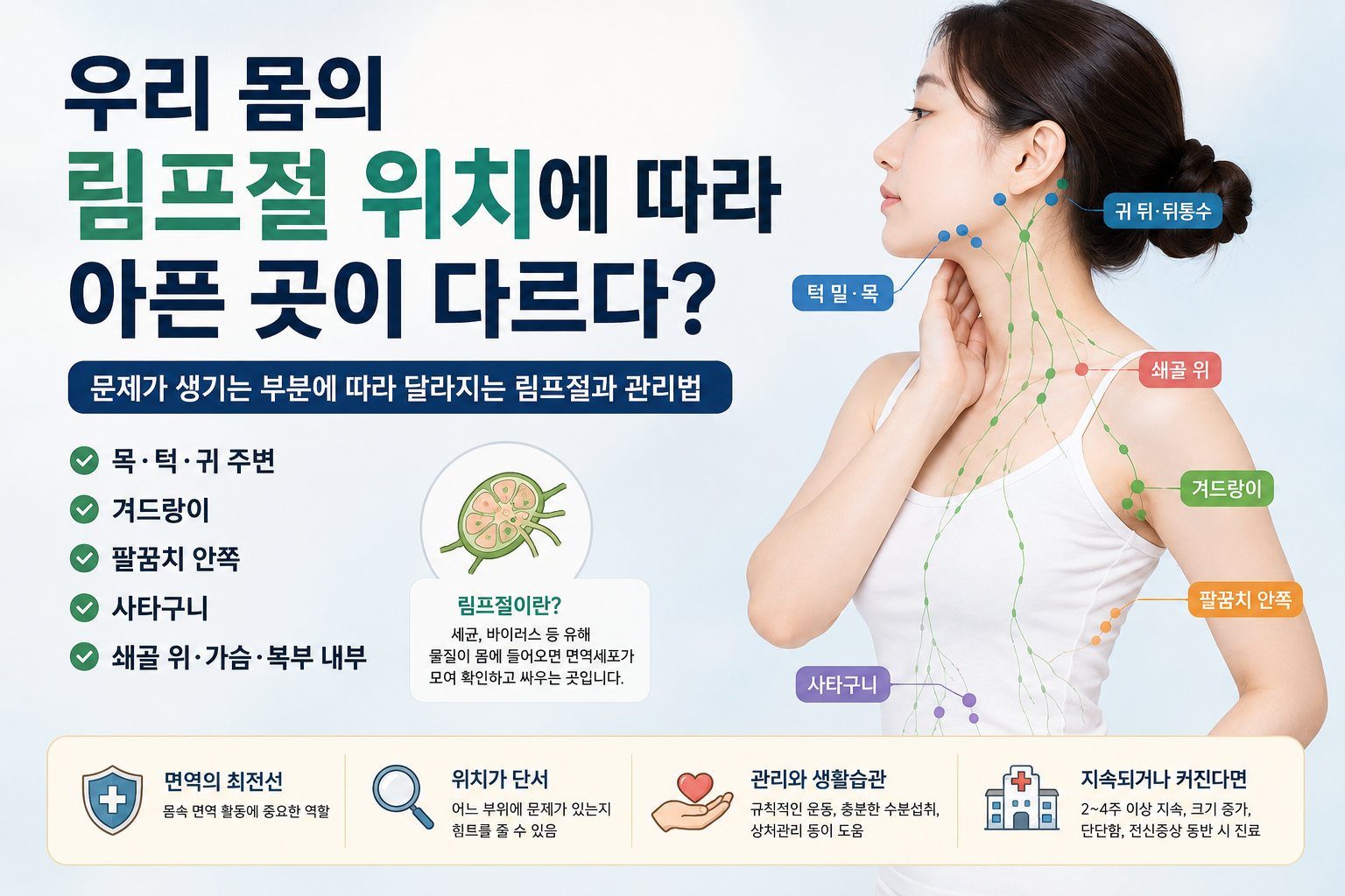림프절은 목에만 있는 게 아닙니다, 붓는 위치로 살펴보는 우리 몸의 신호
