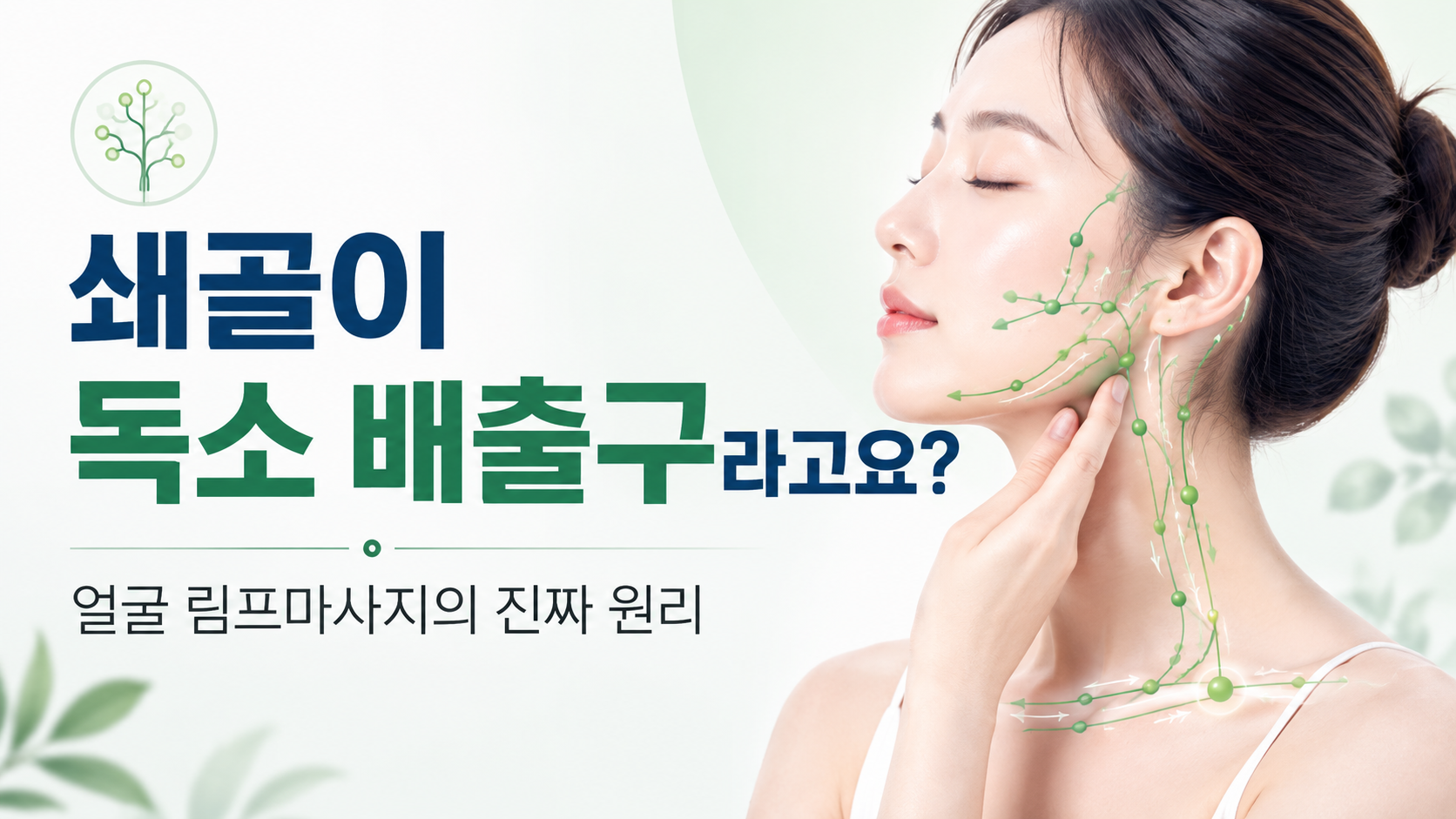 쇄골이 독소 배출구라고요? 얼굴 림프마사지의 진짜 원리